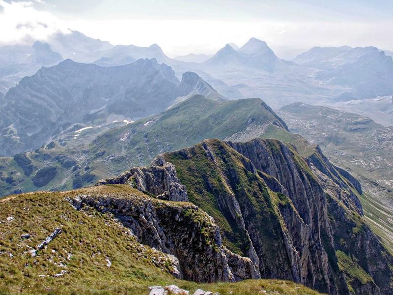 sudoku cognitive game screenshot 4