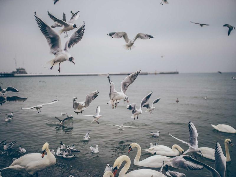 sudoku cognitive game screenshot 5